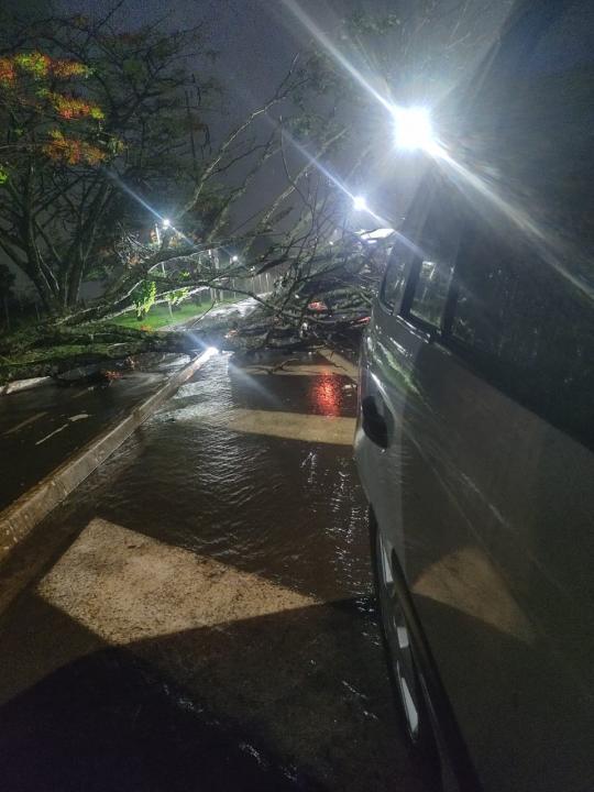 Foto 3 de 67 — TEMPORAL EM FOTOS: veja imagens de destruição em Araraquara